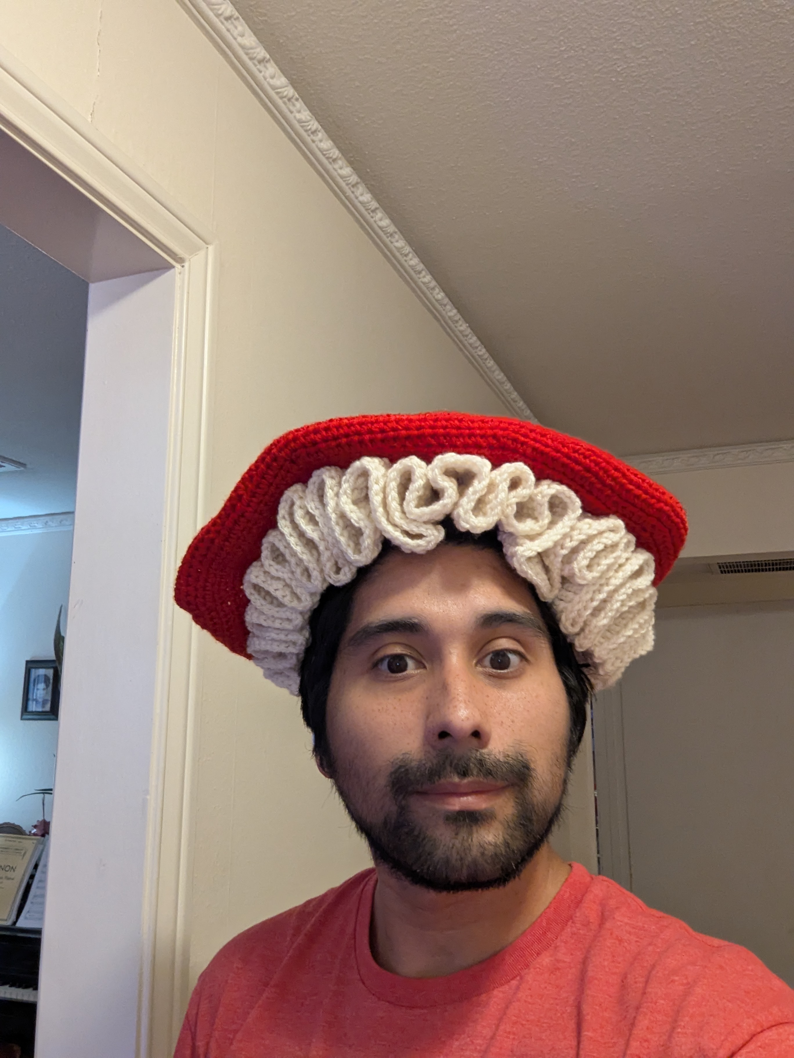 Crochet Mushroom Beret Hat